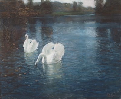 Cigni sul fiume da Frits Thaulow